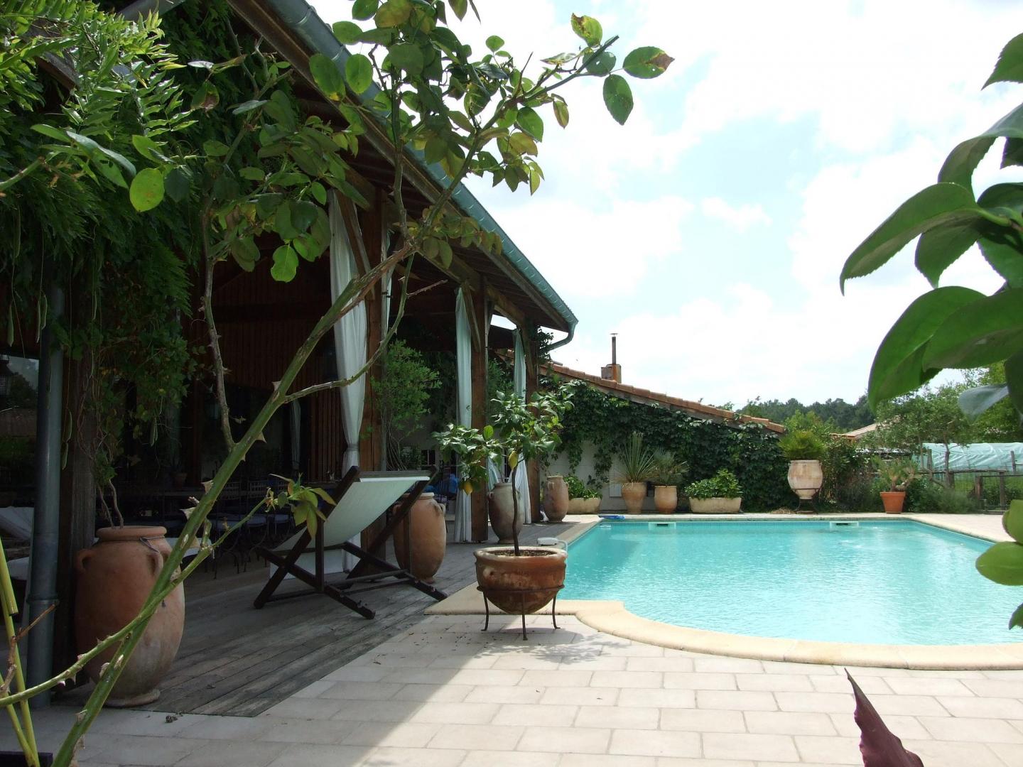 Domaine de l'oustaou Neou - le gîte de l'Olivier, Le Teich - photo 13