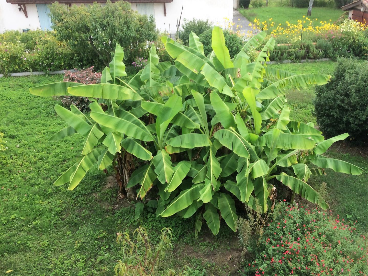 La Halte de Segondignac, Saint-Germain-d'Esteuil - photo 2