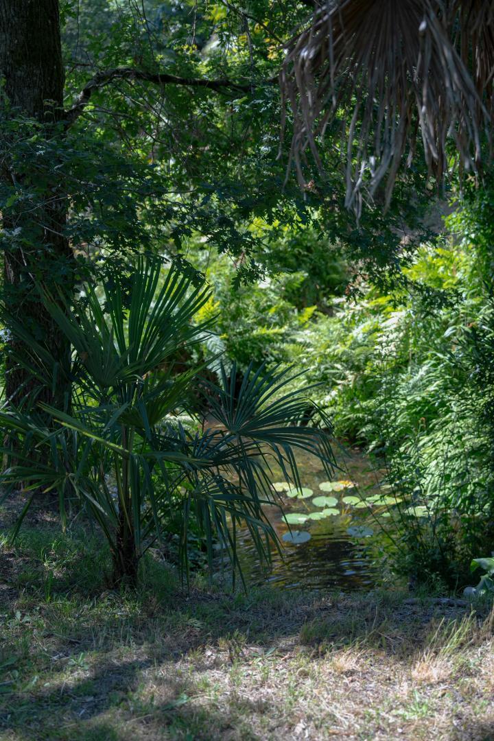Gîte du Pitchouret, Belin-Béliet - photo 14
