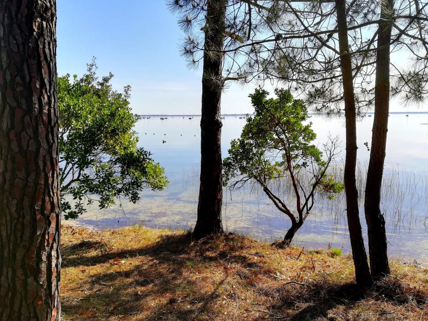 Gite de Couyras, Carcans - photo 17