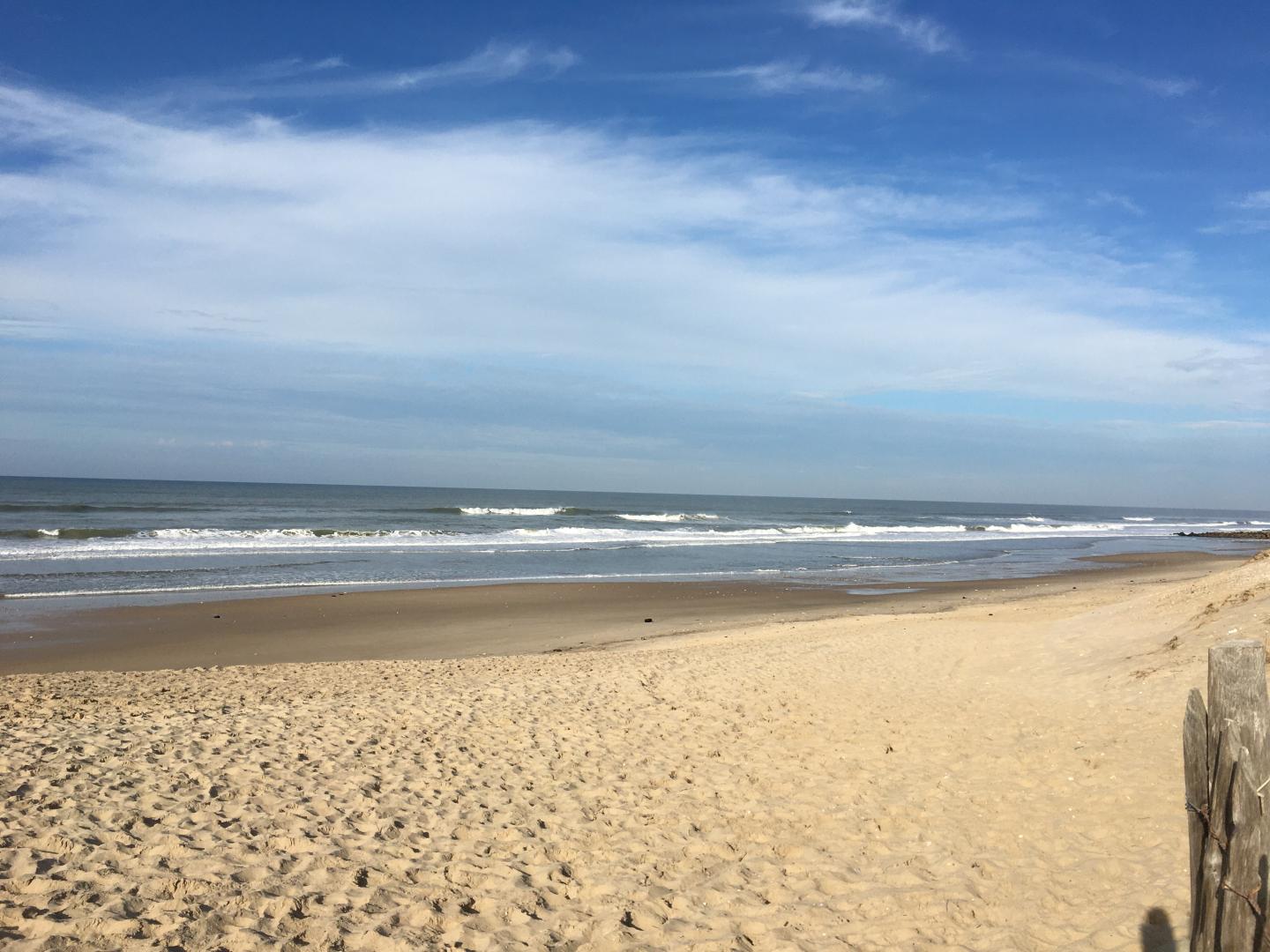 Océan et forêts, Vensac