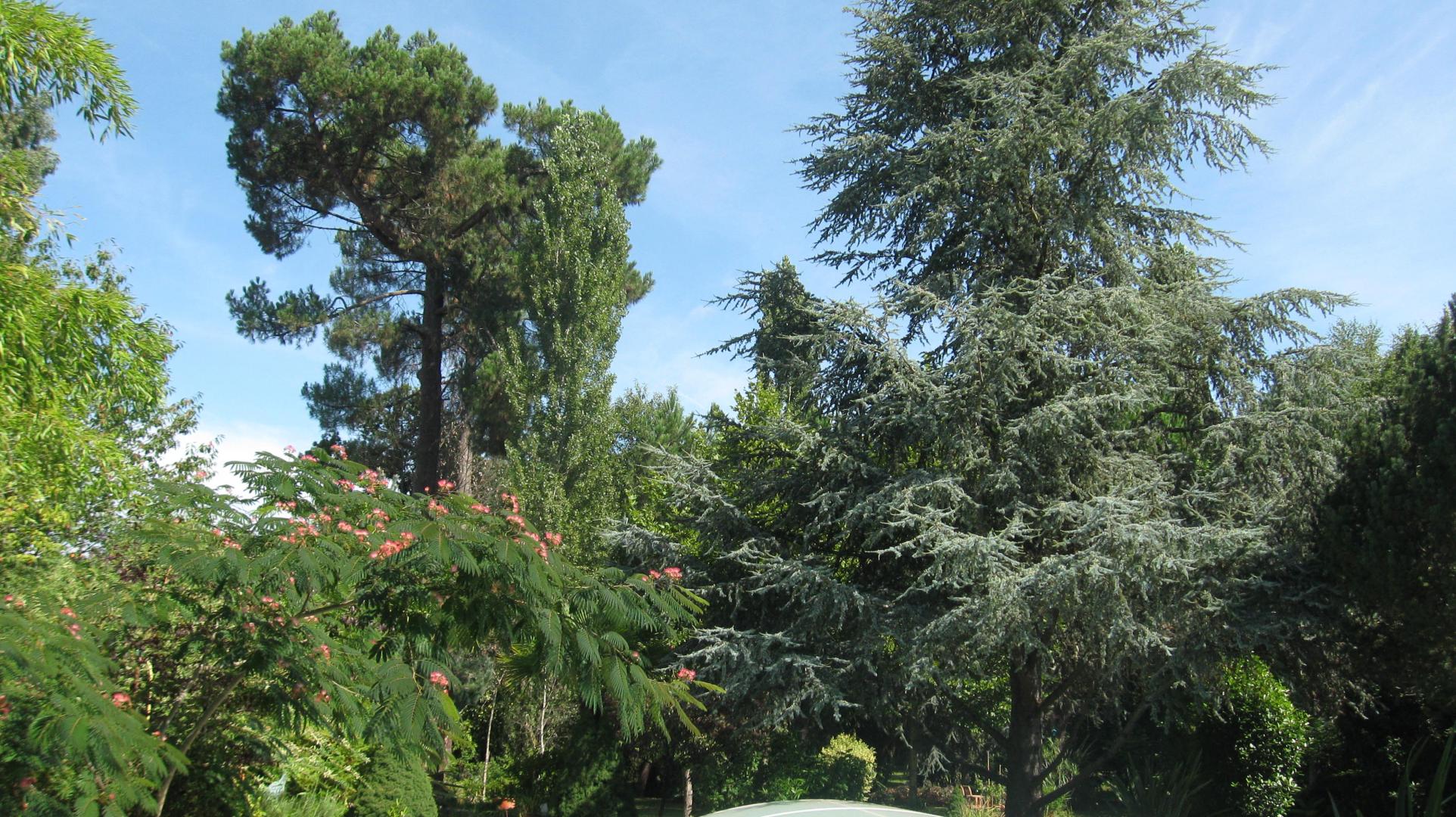 Gîte La Bastide de Salles, Salles - photo 21