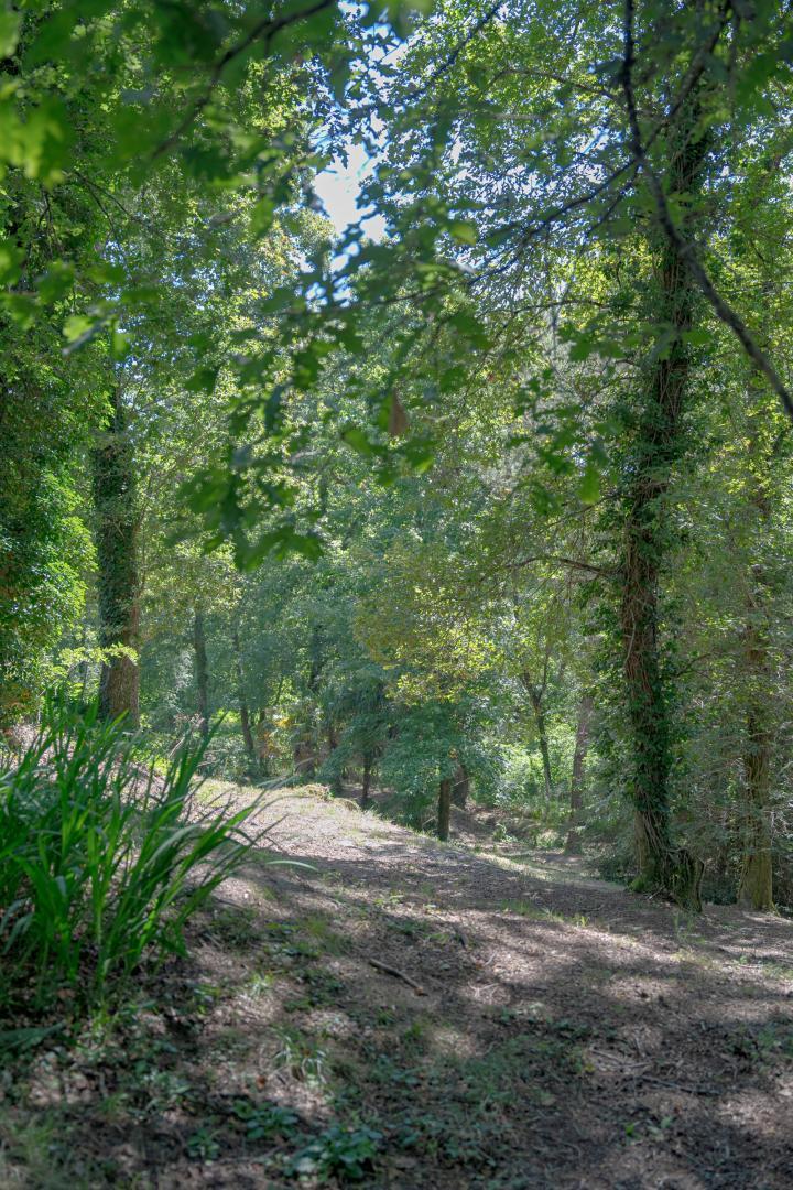 Gîte du Pitchouret, Belin-Béliet - photo 24