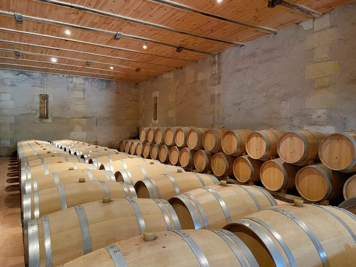 Château Malfard - Petit Verdot, Saint-Martin-de-Laye - photo 2