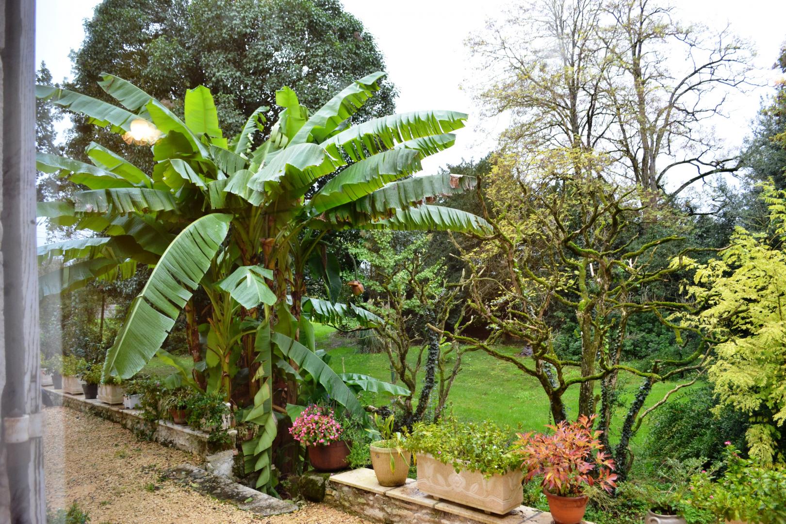 Chambres d'hôtes Le Capy, Douzains - photo 3
