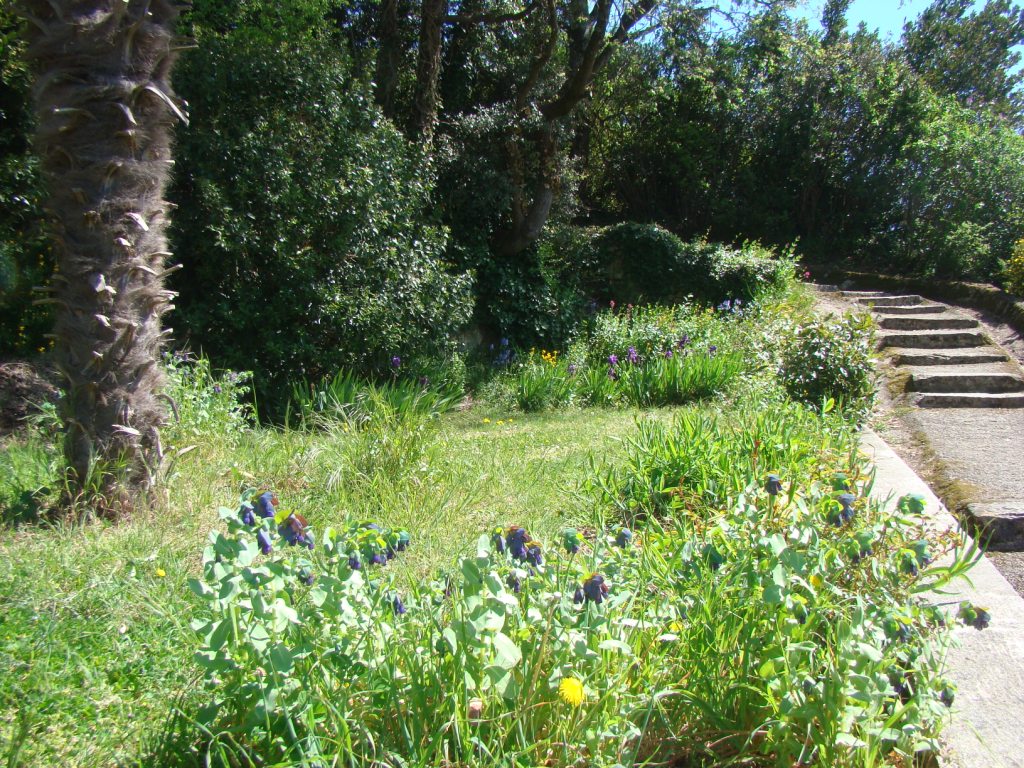 La Falaise, Gauriac