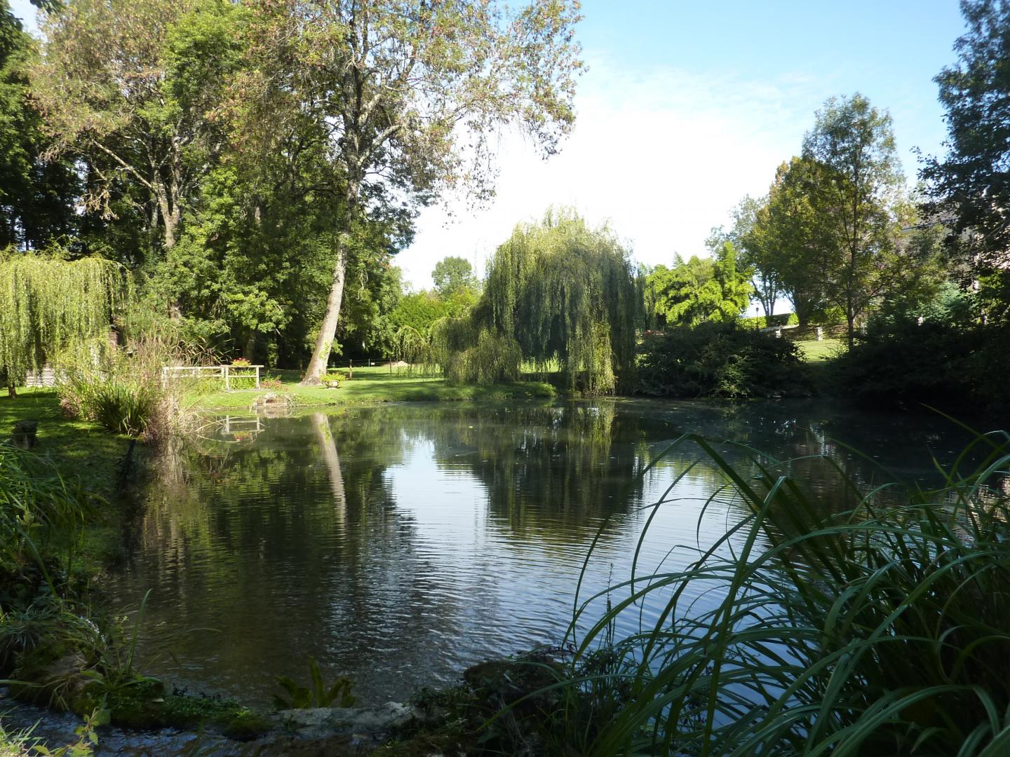 La Désirade, Saint-Laurent-d'Arce - photo 8
