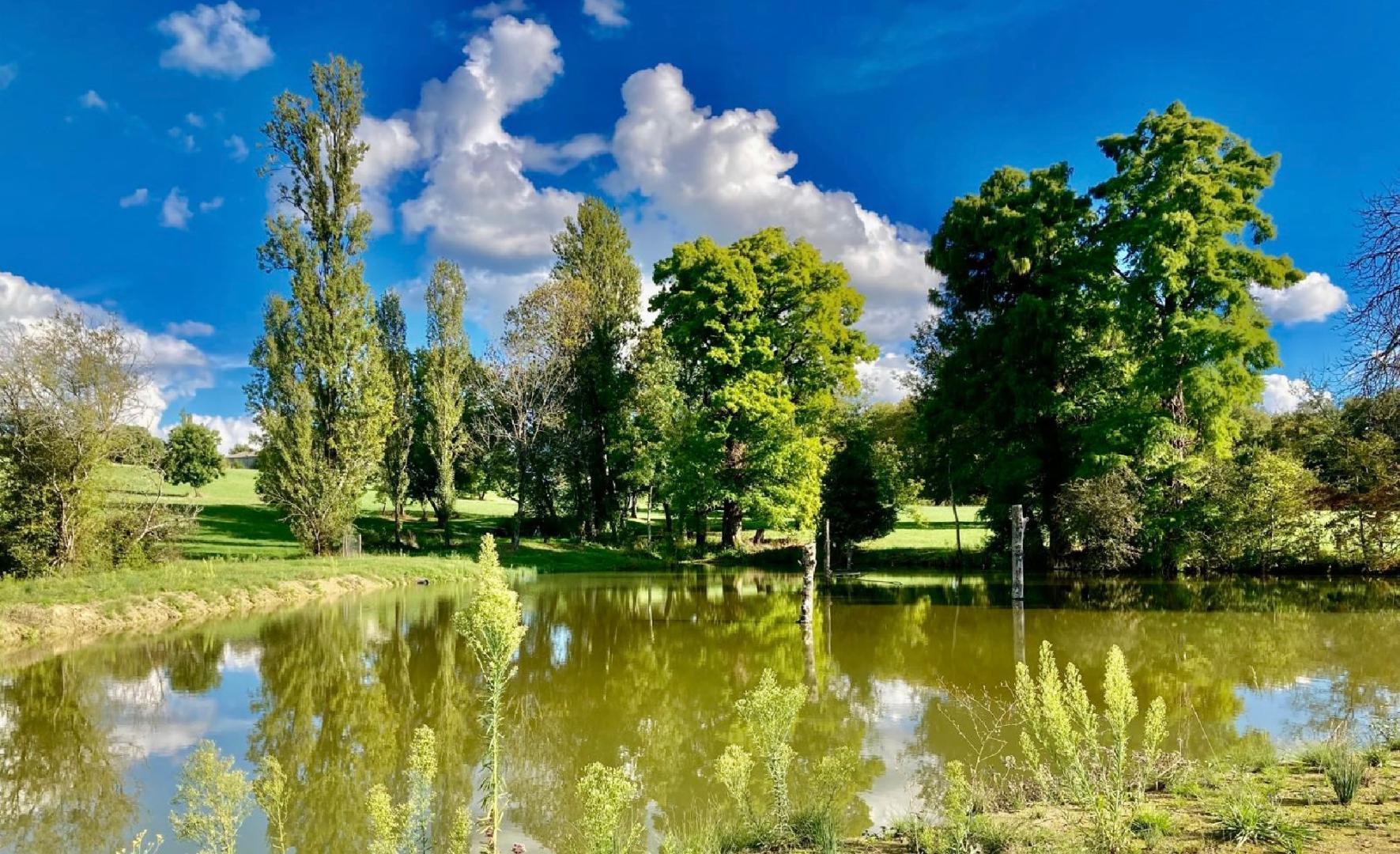 Château Malfard - Petit Verdot, Saint-Martin-de-Laye - photo 17