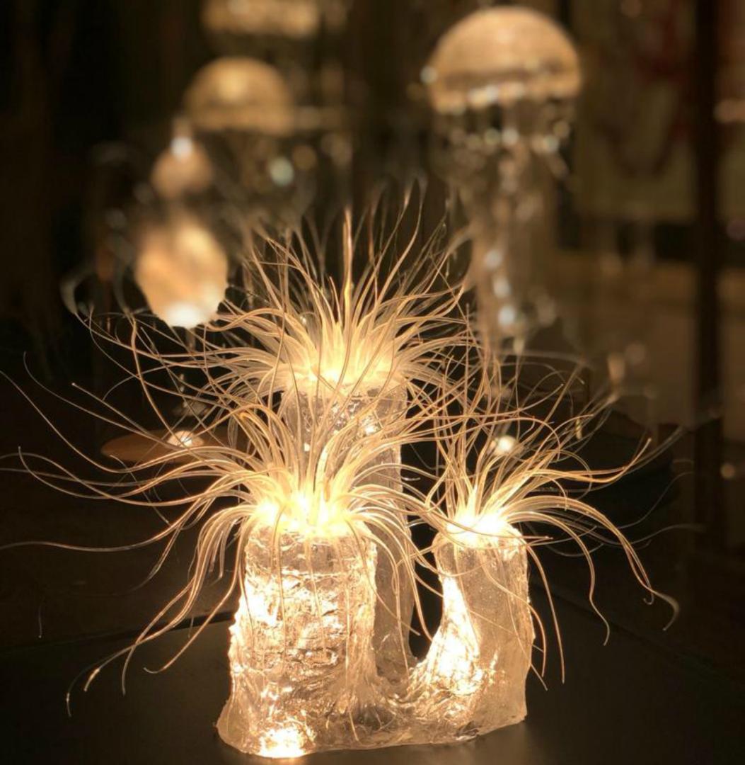 Océan et forêts, Vensac - photo 18