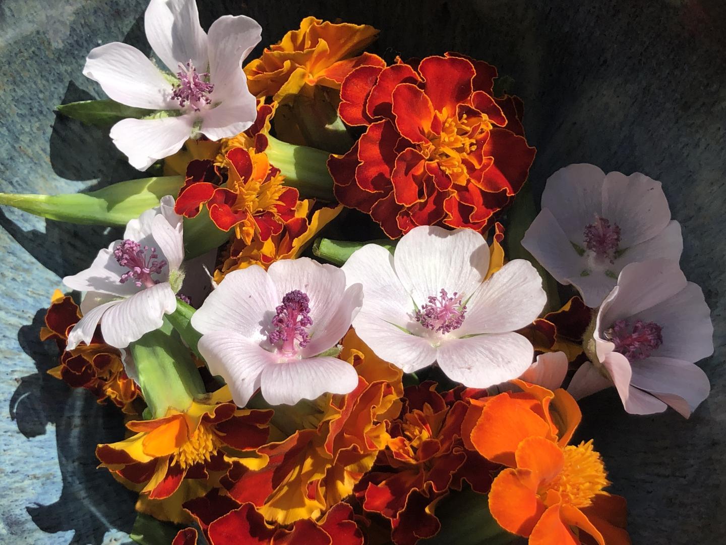 La Villa des Sables, Vielle-Saint-Girons - photo 15