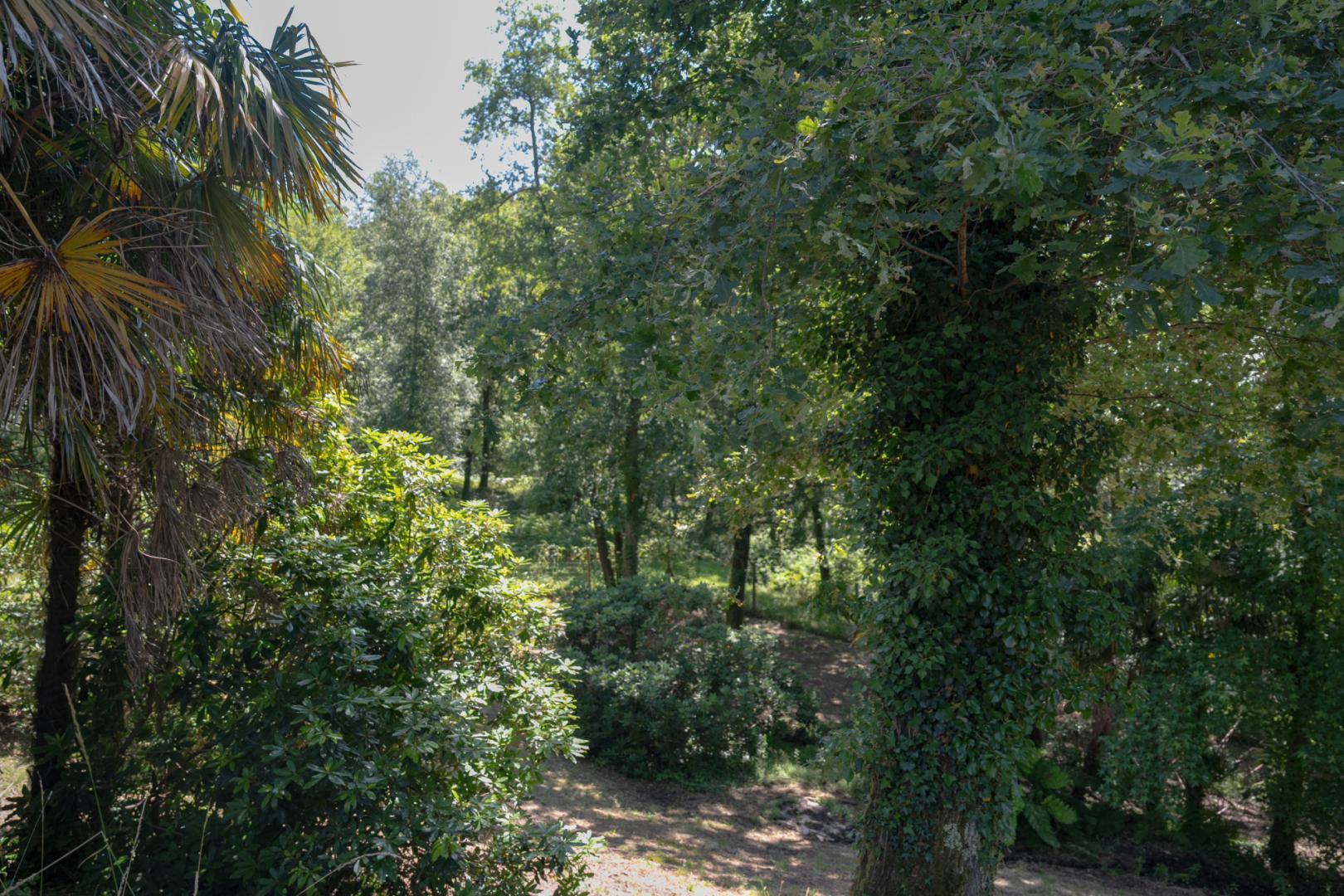 Gîte du Pitchouret, Belin-Béliet - photo 17