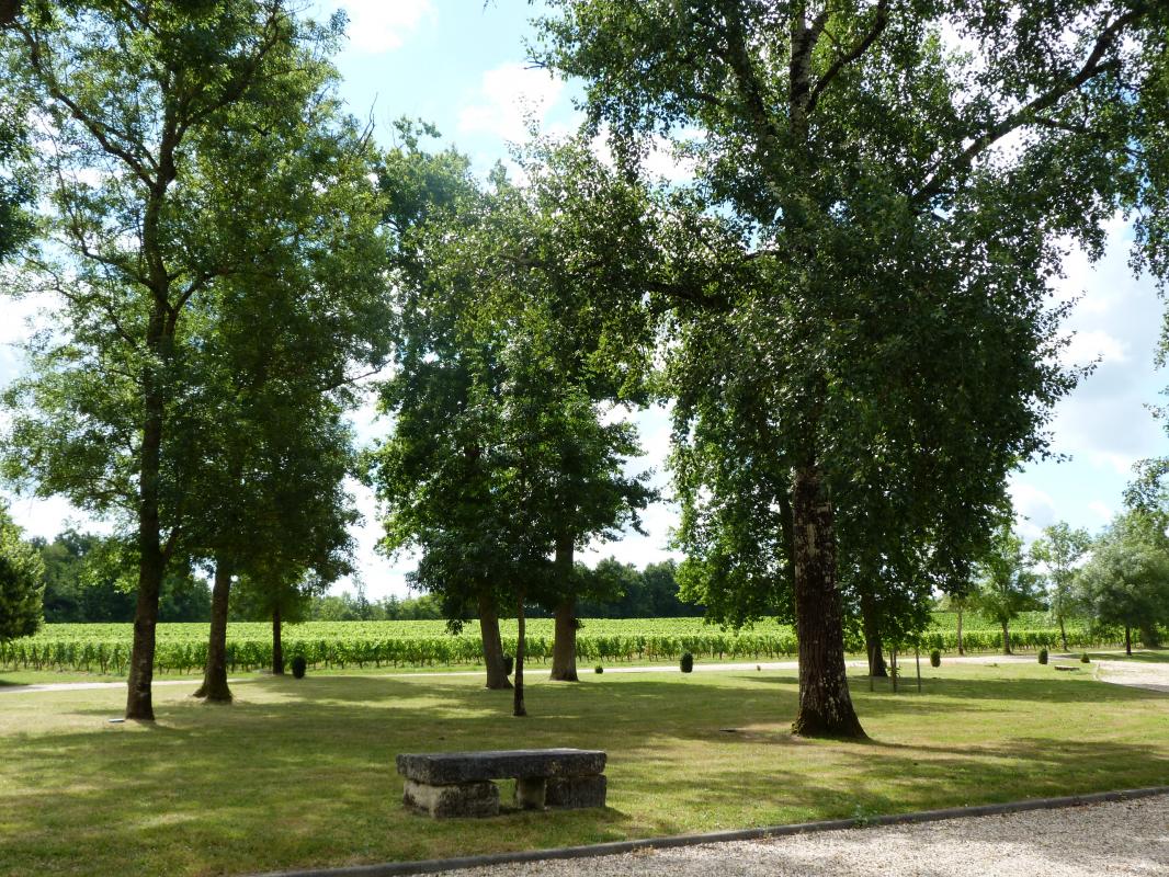 Château Malfard - Petit Verdot, Saint-Martin-de-Laye - photo 5