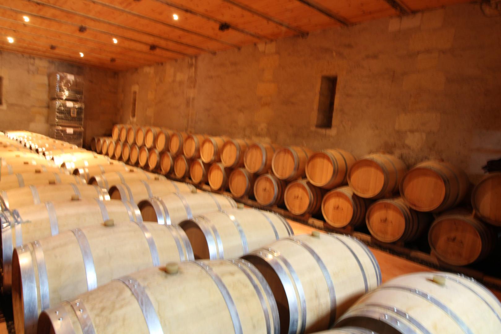 Château Malfard - Semillon, Saint-Martin-de-Laye - photo 27