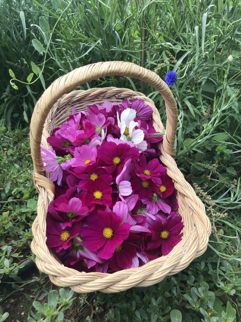 La Villa des Sables, Vielle-Saint-Girons - photo 16