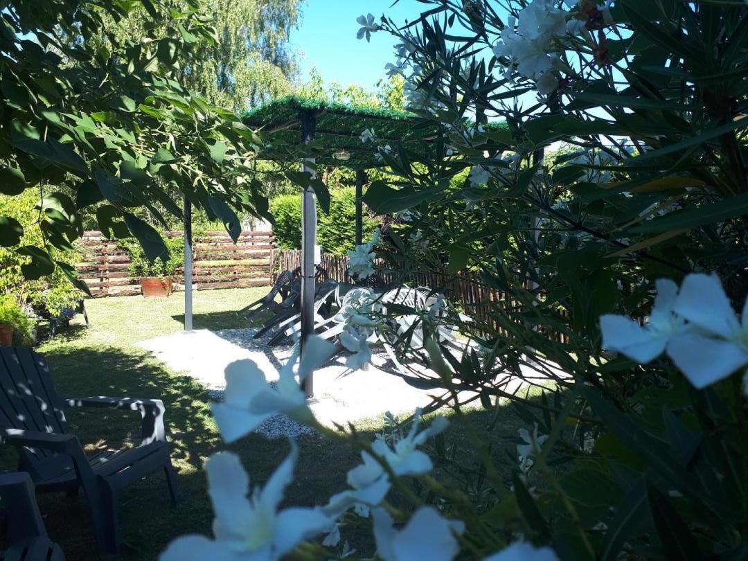 Domaine de la Gravette, Cubnezais - photo 9