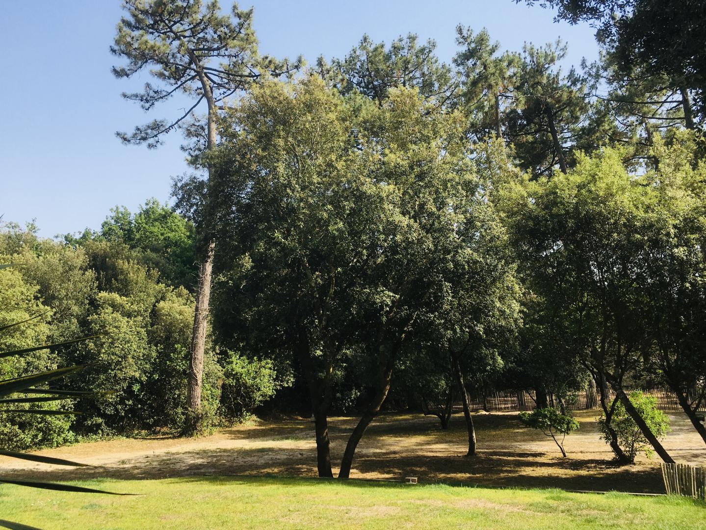Villa Les Odonates, Soulac-sur-Mer - photo 21