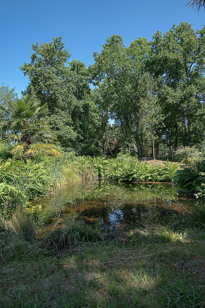 Gîte du Pitchouret, Belin-Béliet - photo 6