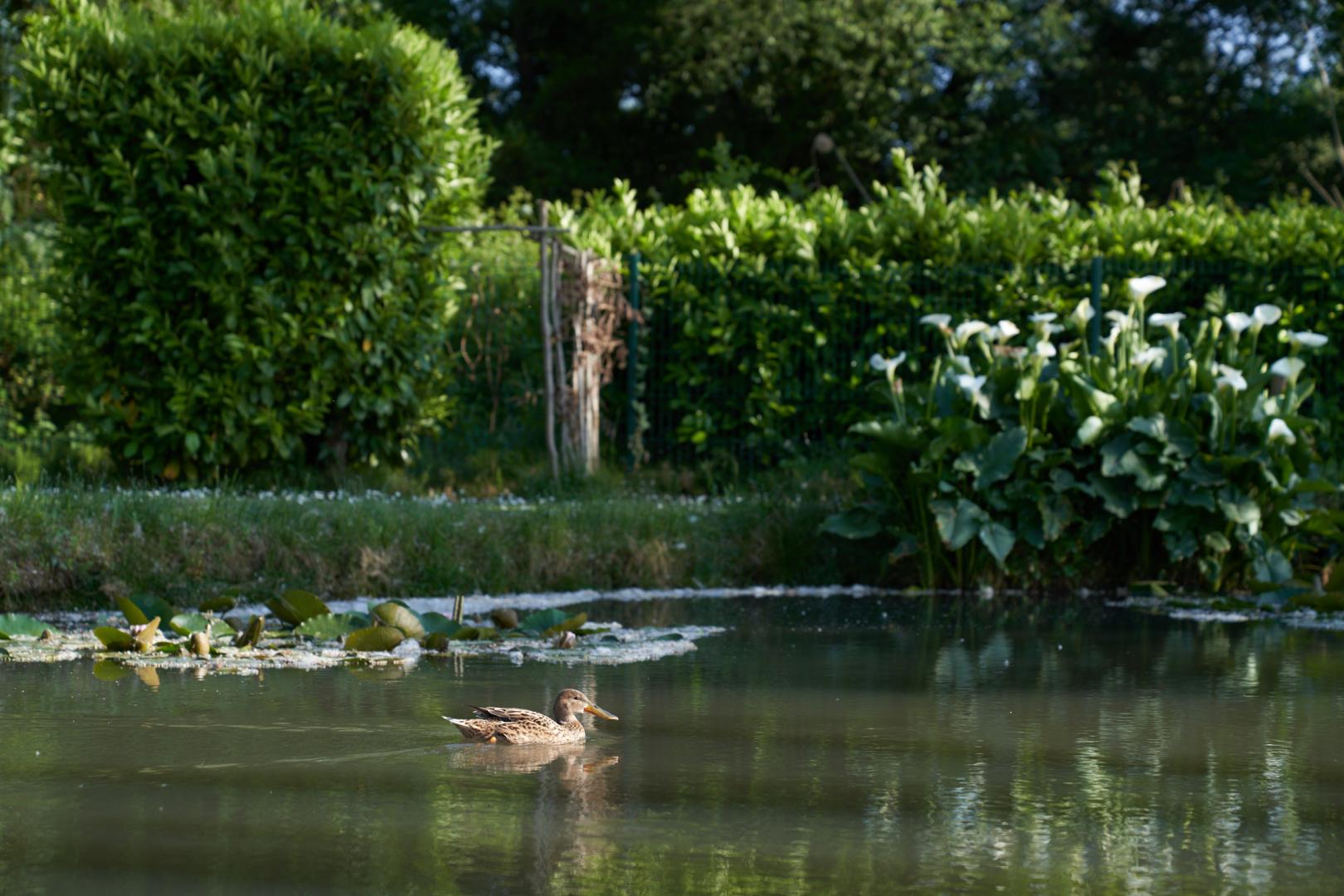 Le Clos Bernon, Libourne - photo 21