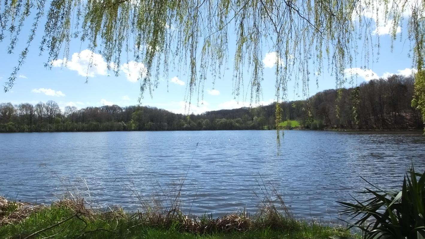 BORD'EAU, Saint-Priest-la-Feuille - photo 2