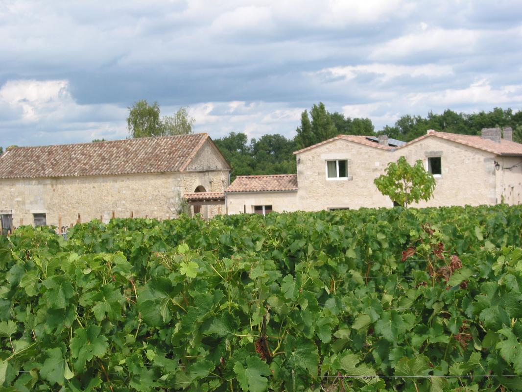 Les Secrets de Tifayne, Puisseguin - photo 37