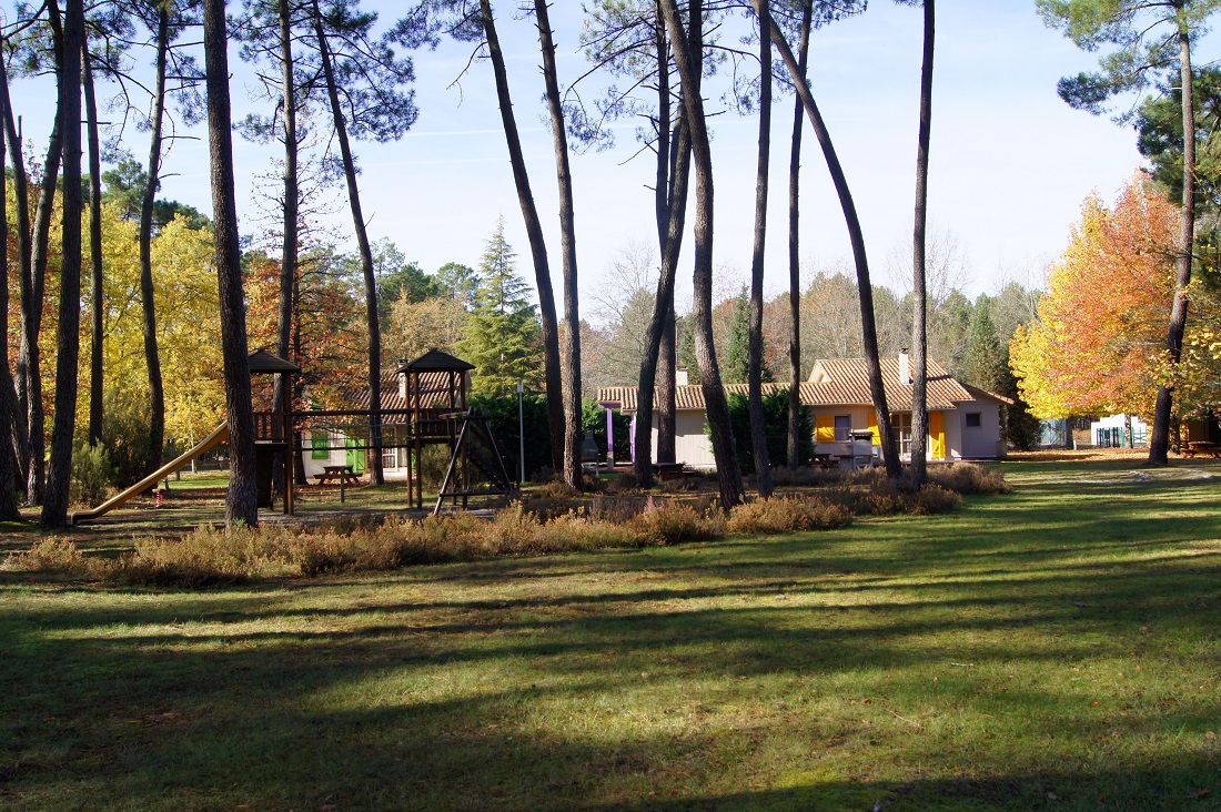 Gîte forestier n°2 - photo 4