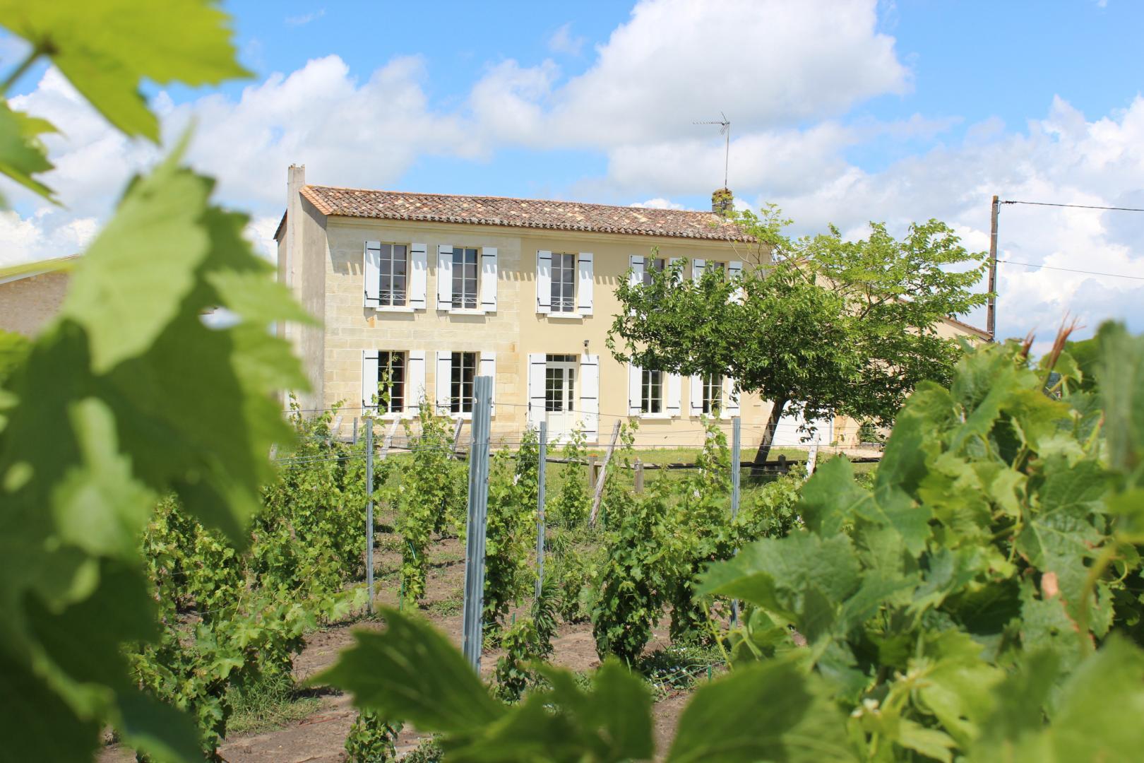 Gîte Carboneyre, Saint-Émilion - photo 9