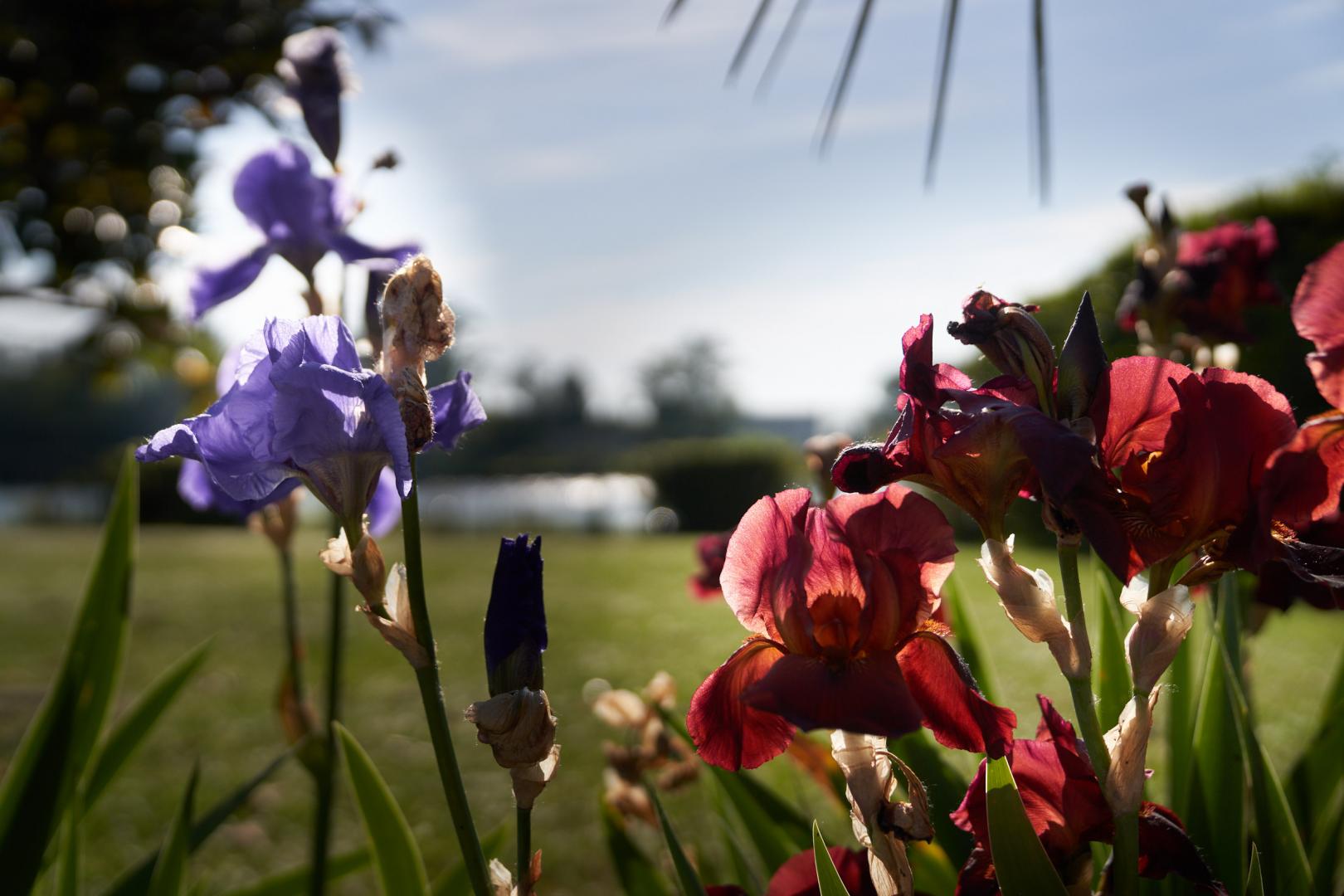 Le Clos Bernon, Libourne - photo 27