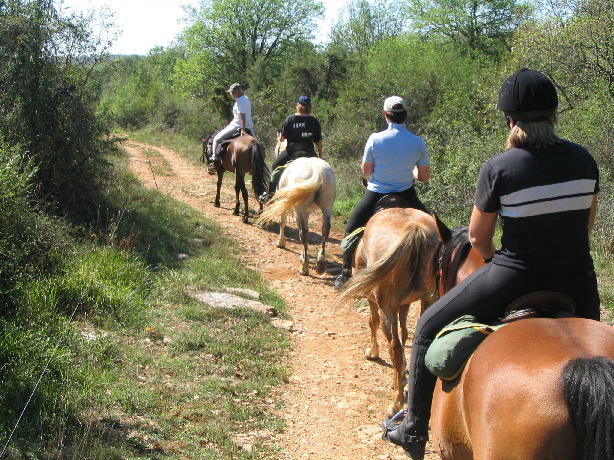 Hôtel Domaine des Garennes - photo 4