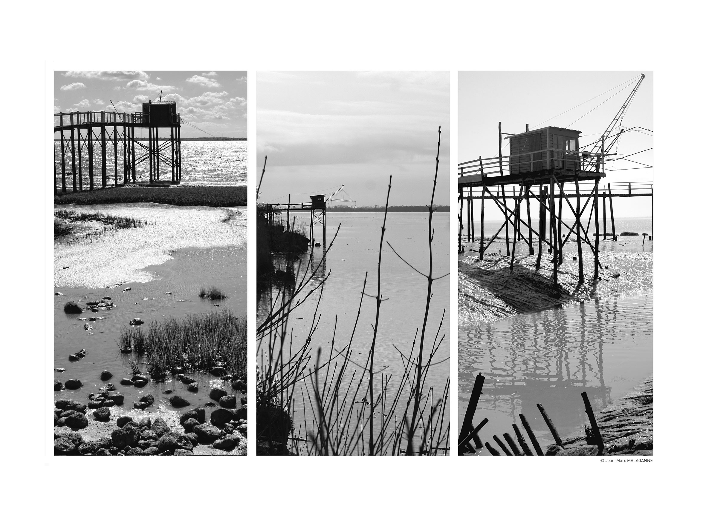 Exposition de photographies et haïkus, Pauillac
