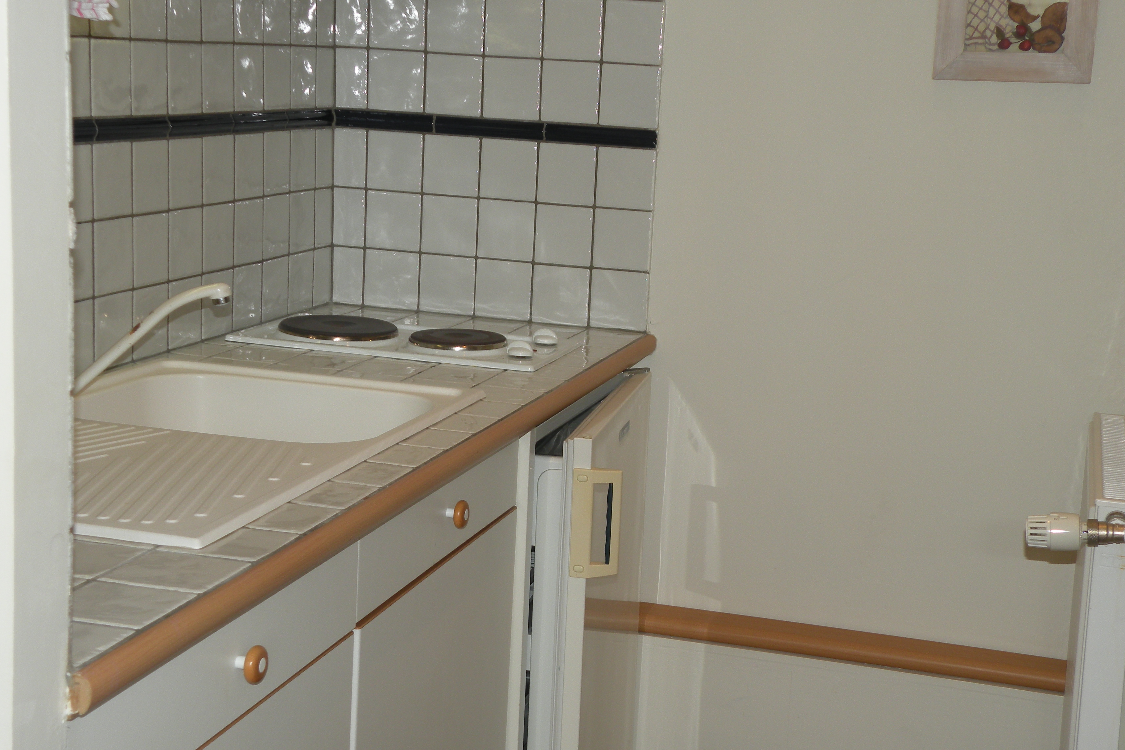 L'Abricotier, Saint-Macaire - photo 7