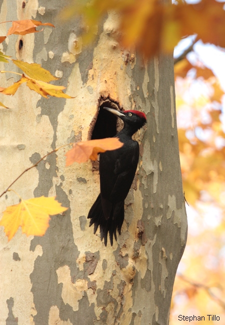 Vallée de Gavaudun, Gavaudun - photo 6
