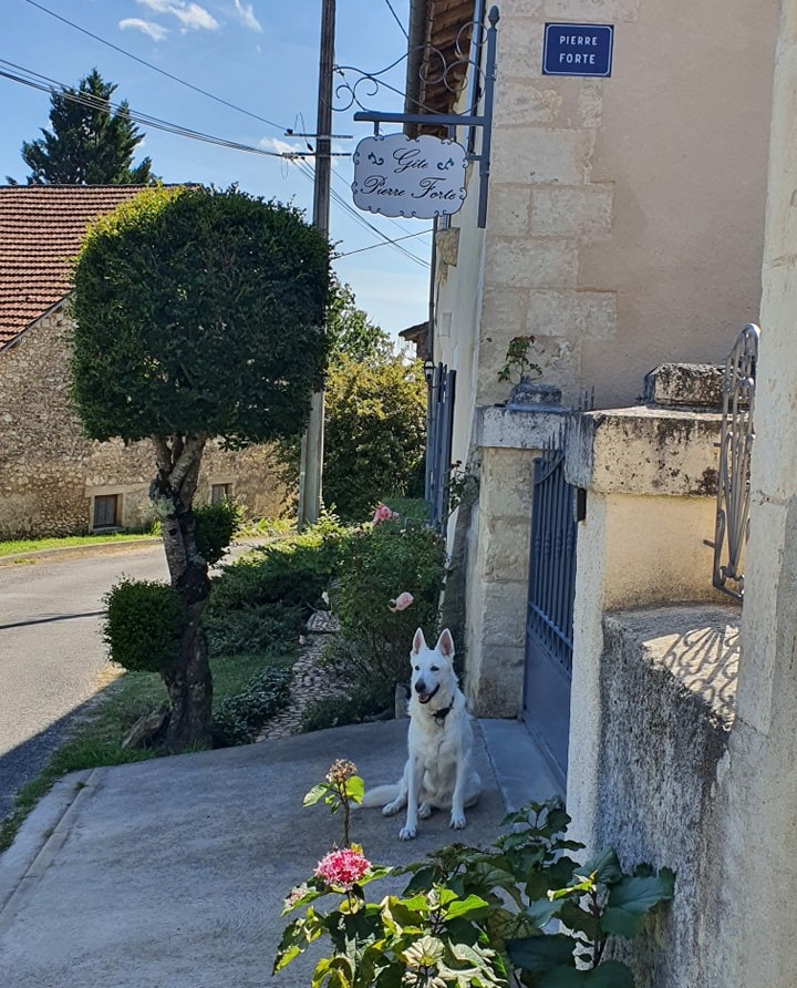 Gîte Pierre Forte, Saint-Léon-sur-l'Isle - photo 18