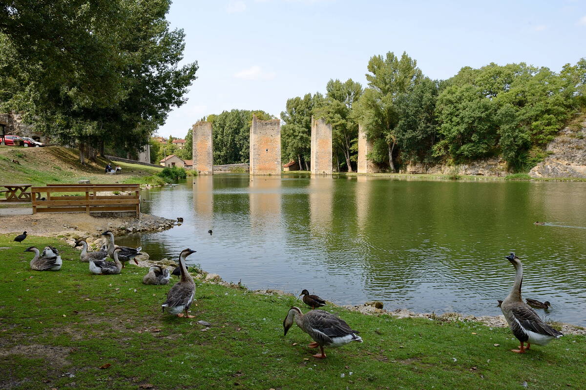 L’Étang de Lussac-les-Châteaux