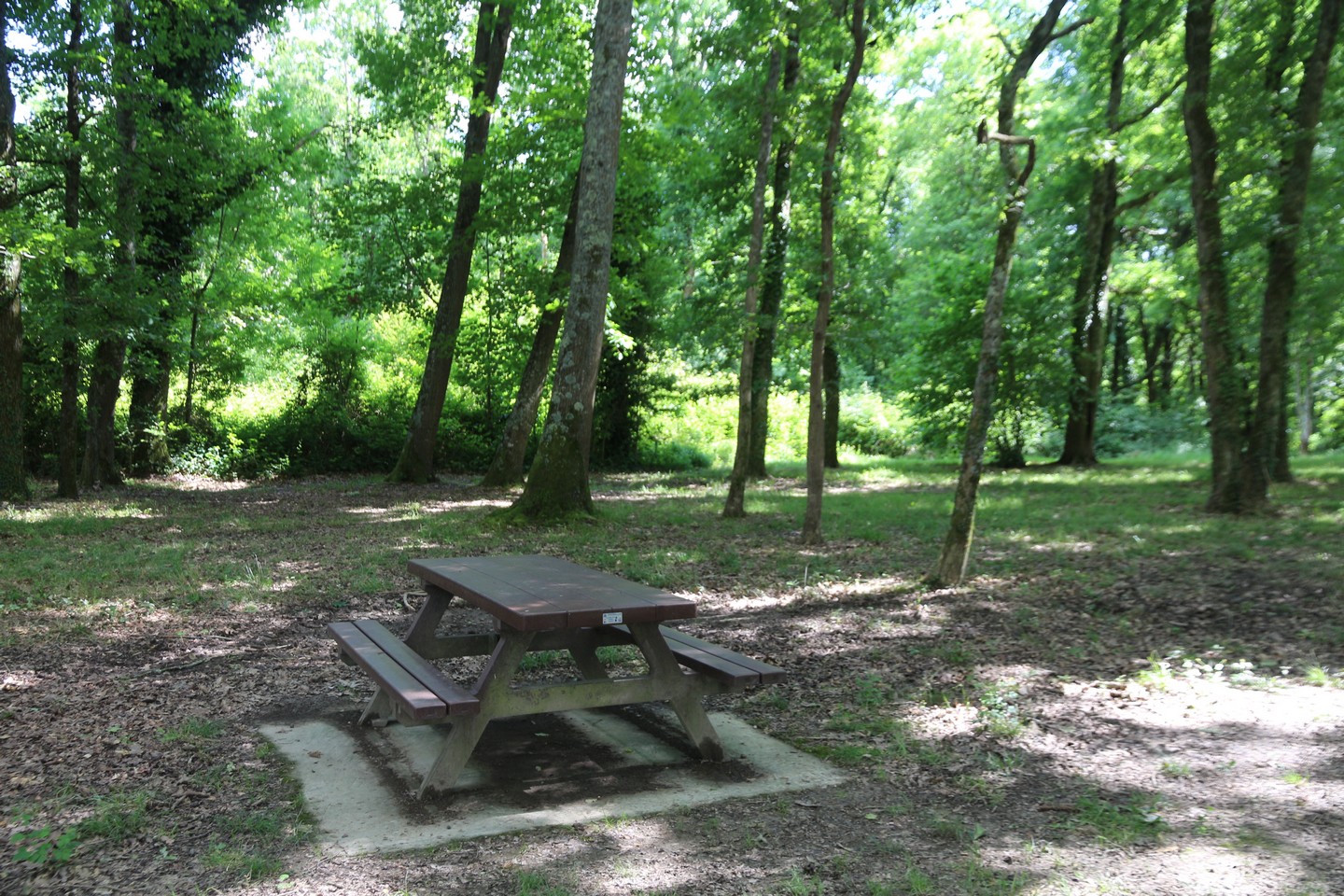 Aire de pique-nique des Ramiers - photo 2