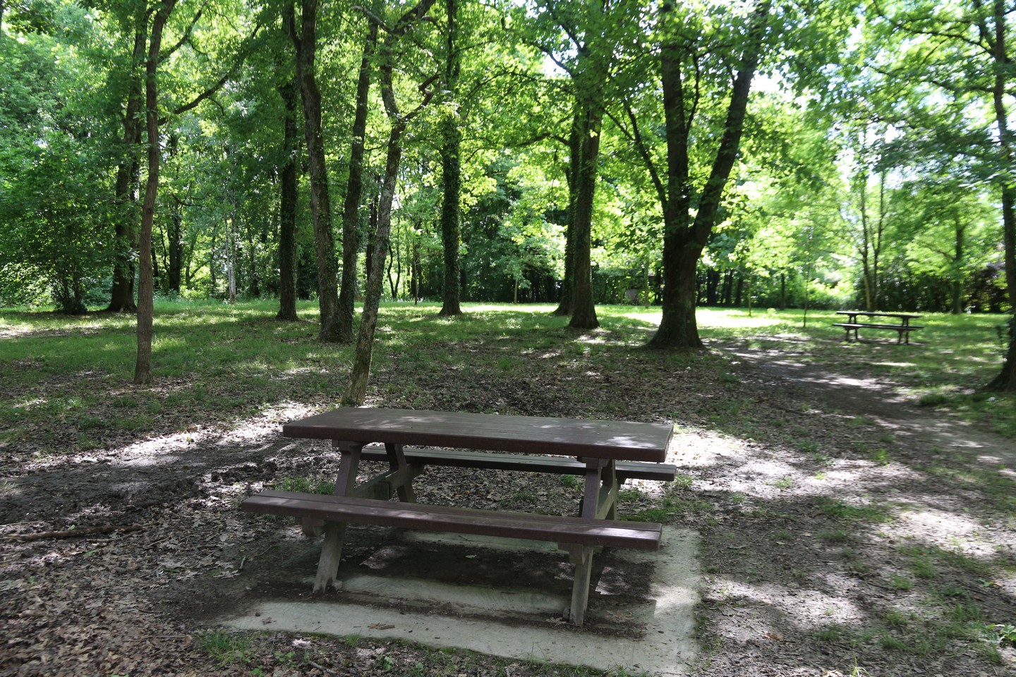 Aire de pique-nique des Ramiers - photo 4