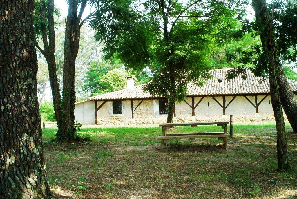Aire de pique-nique de la Forêt du Vignoble