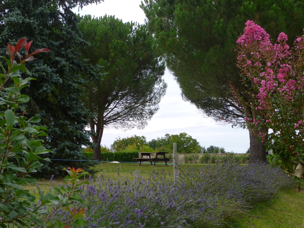 Aire de pique-nique de Saint Michel de Double