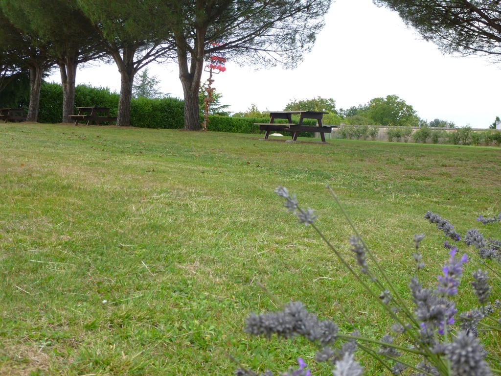 Aire de pique-nique de Saint Michel de Double