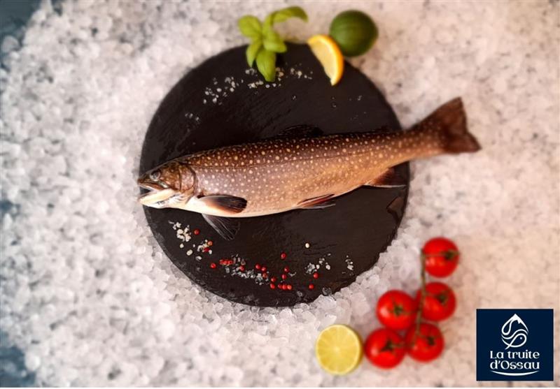 Pisciculture la truite d'Ossau