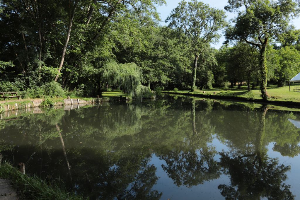 Pisciculture Moulin de Boissonnie — photo 3