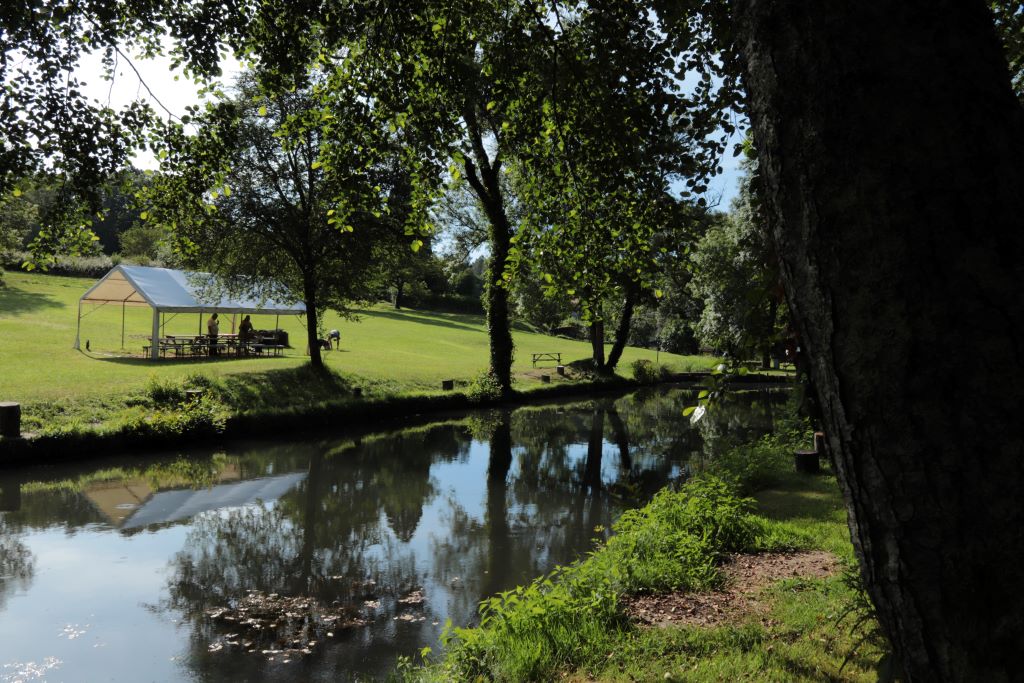 Pêche en étang moulin de Boissonnie, Douzillac - photo 6