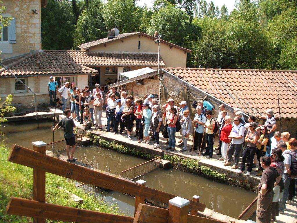 Pisciculture Moulin de Boissonnie