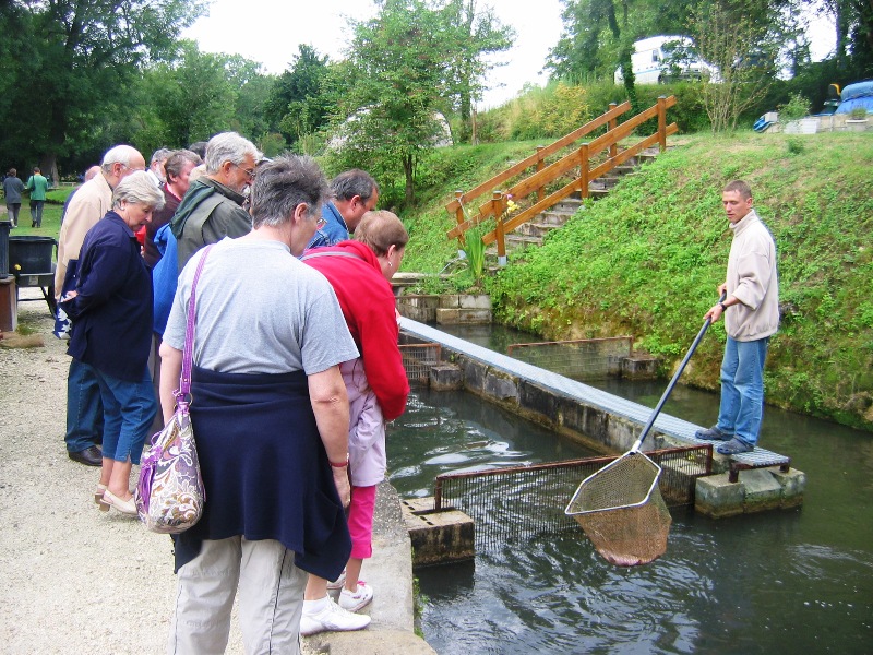 Chasse au trésor sur les traces de la truite !, Douzillac - photo 16