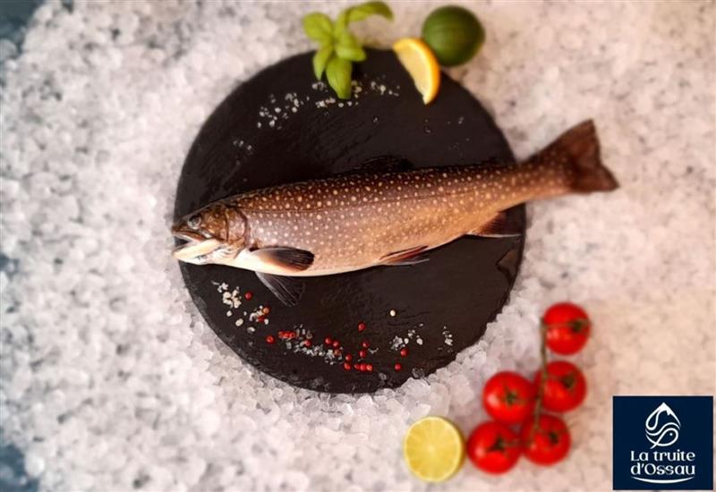 Pisciculture la truite d'Ossau