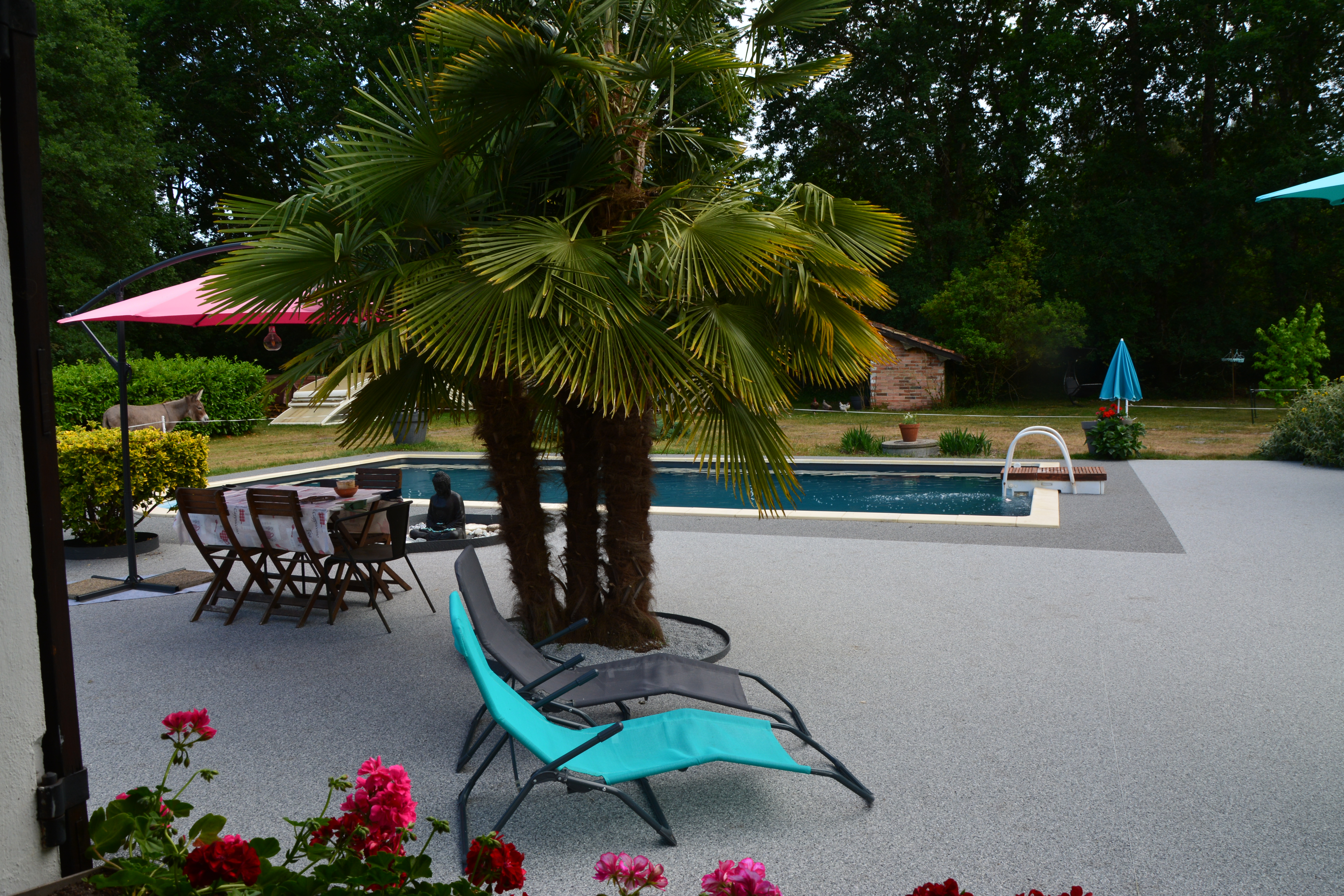 La Grande  Jaougue, Callen - photo 2