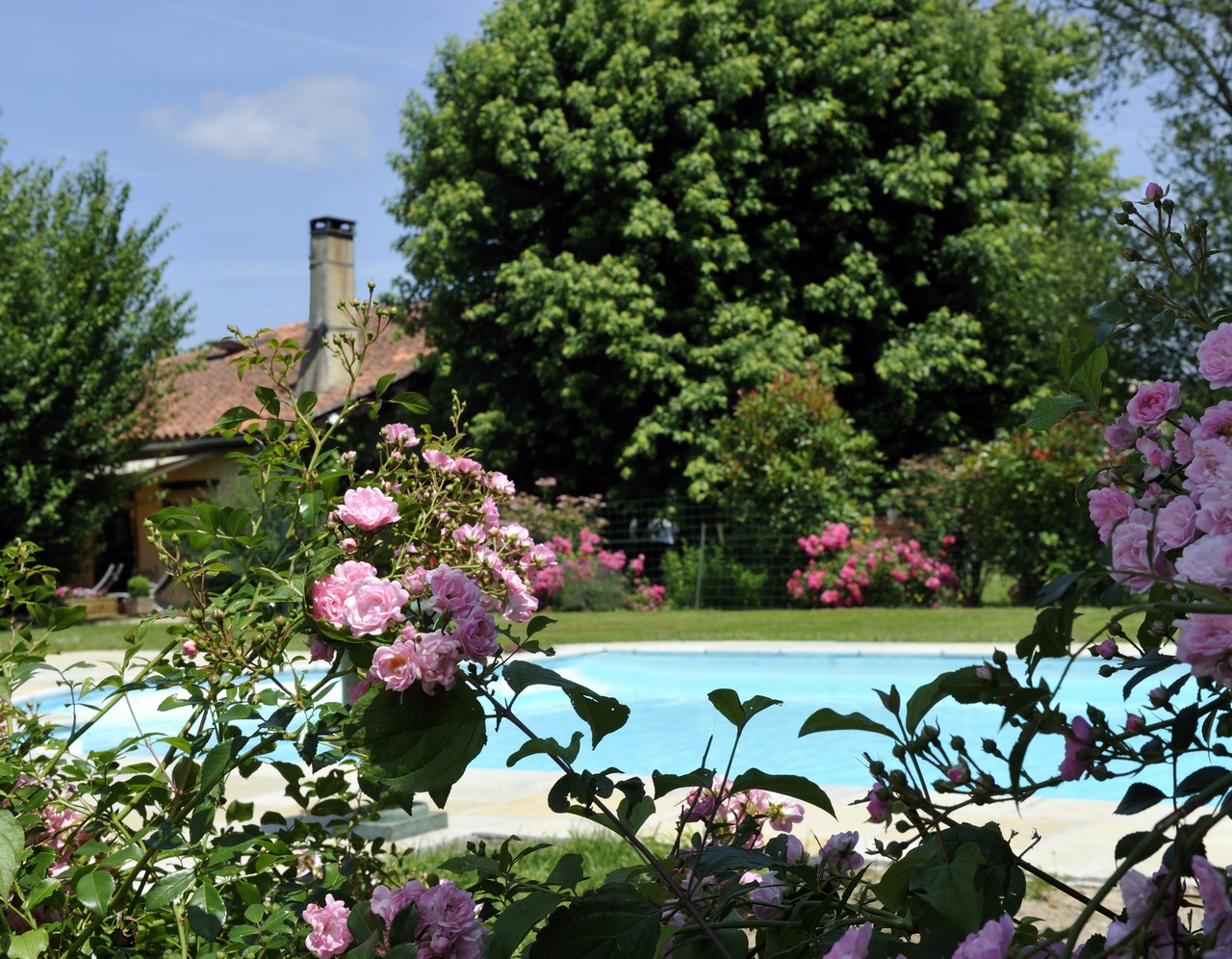 L'Airial de Monseignon, Saint-Julien-d'Armagnac - photo 14