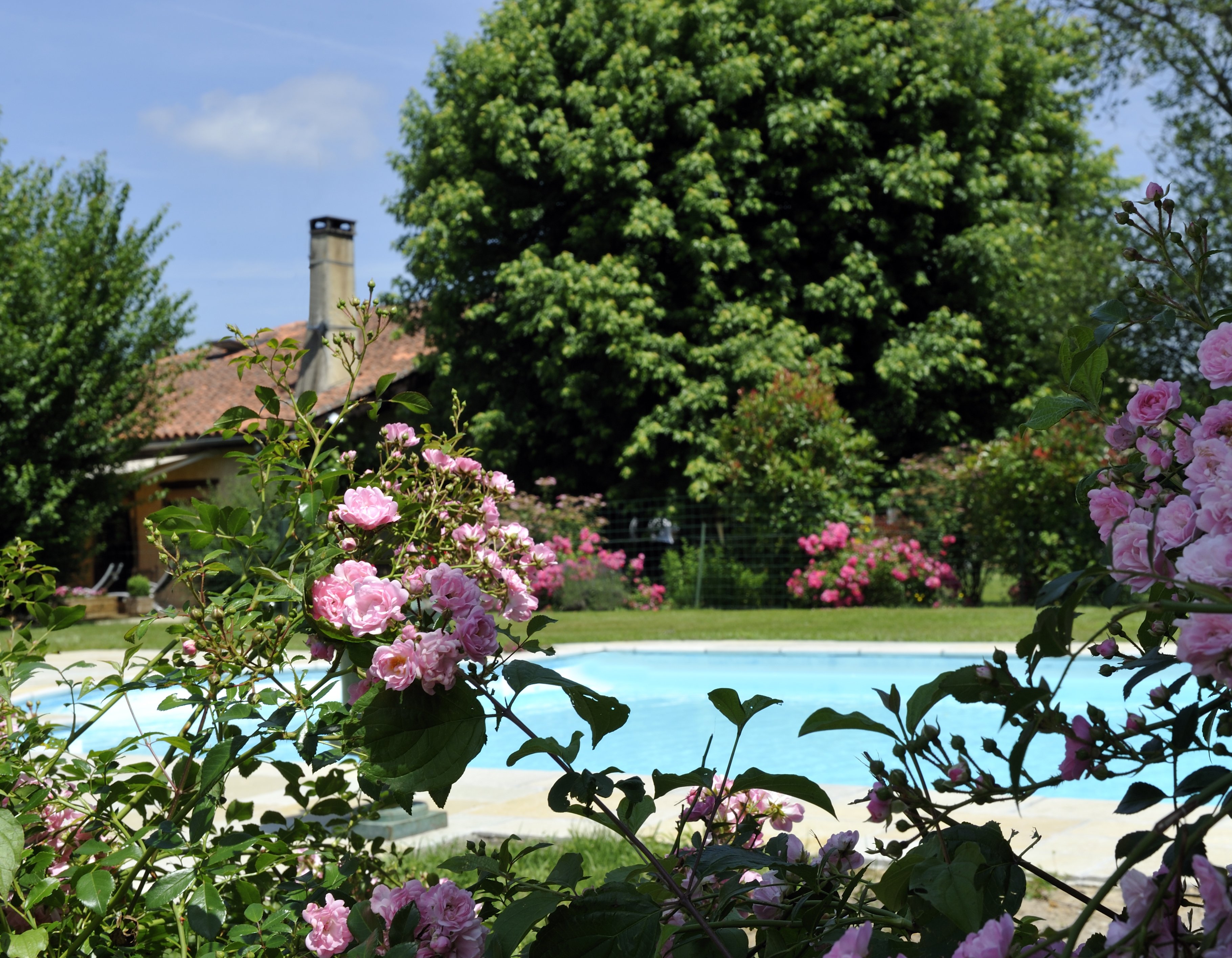 La Ferme de Monseignon, Saint-Julien-d'Armagnac - photo 2