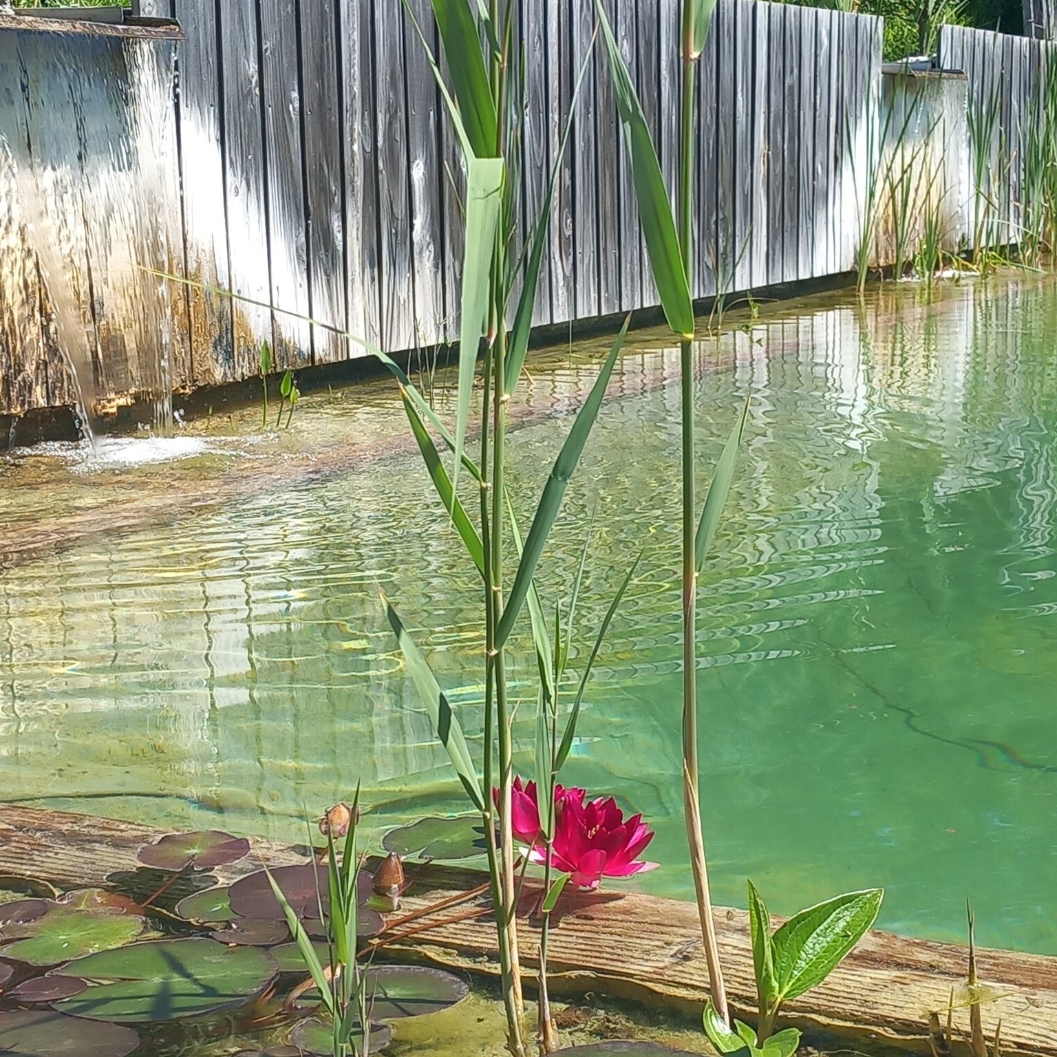 Gîte Eco-lieu la Ferme de Belle Combe, Pont-du-Casse - photo 6