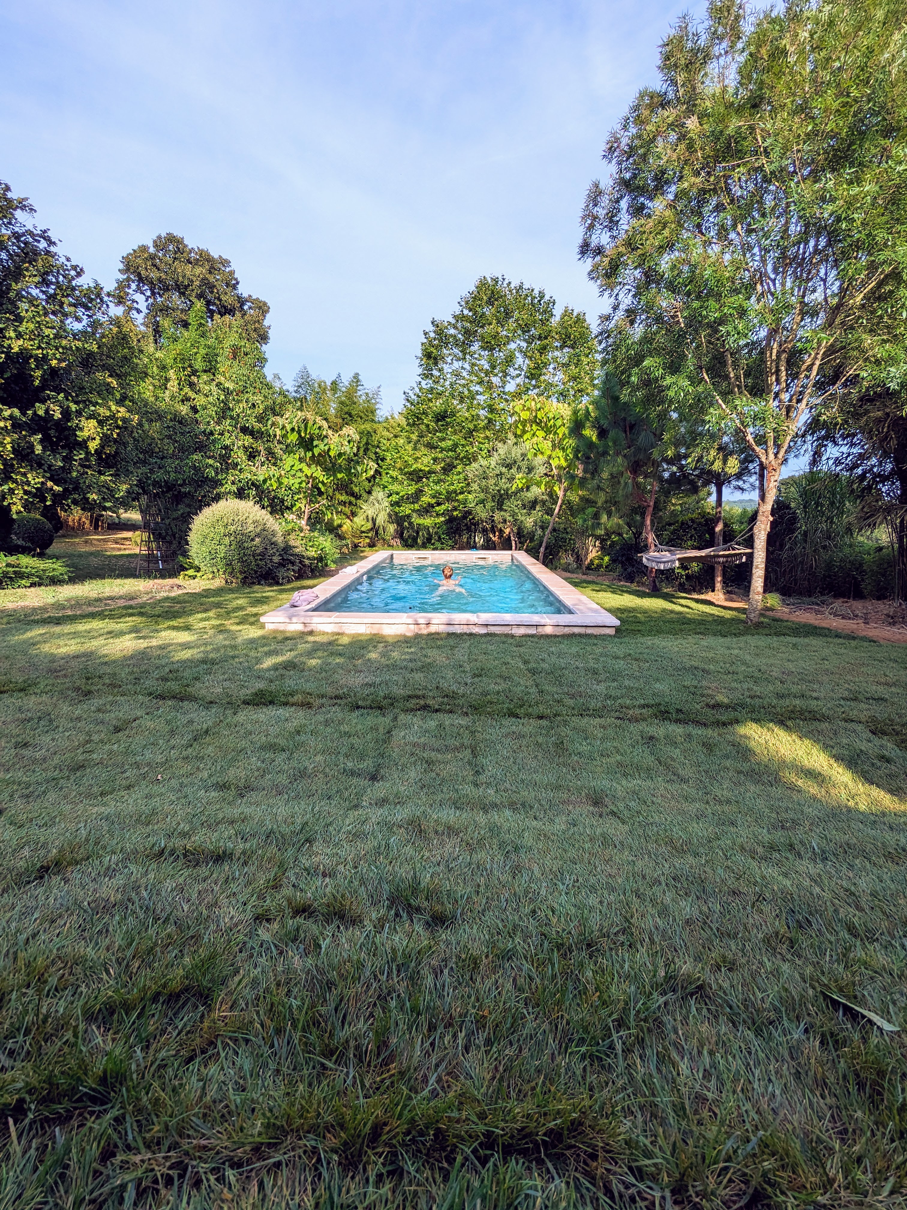 La petite bourdotte, Laurède - photo 6