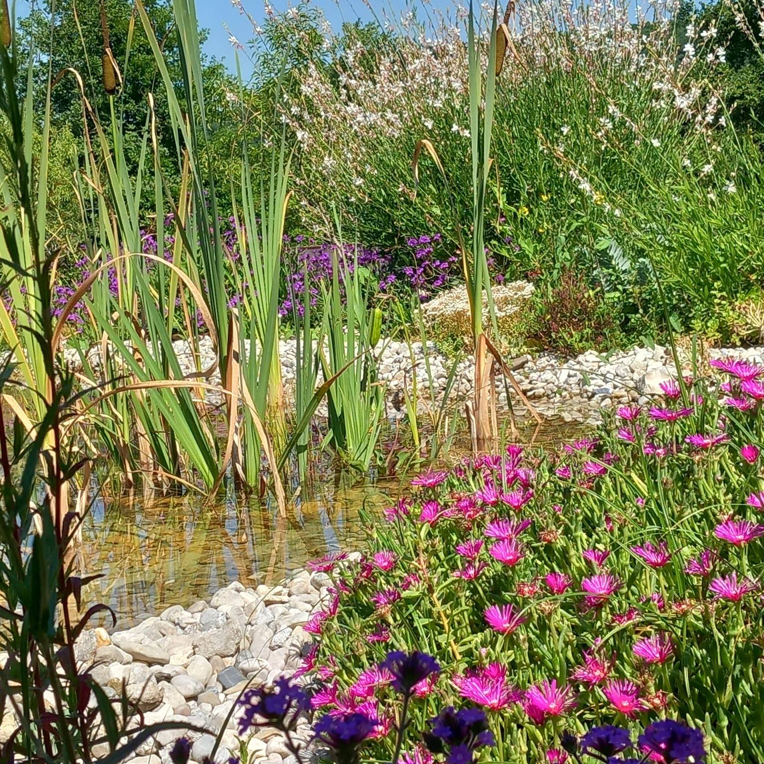 Gîte Eco-lieu la Ferme de Belle Combe, Pont-du-Casse - photo 9